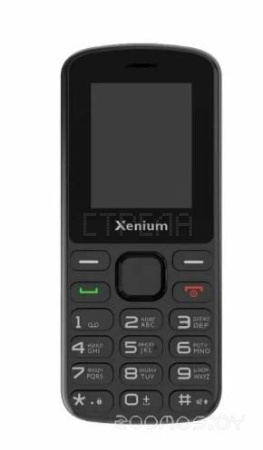 Кнопочный телефон Xenium X170 (черный)